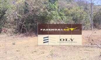 Imagem 4: Fazenda de Oportunidade ! Região de Goiás Velho ! 189 Alqueires !