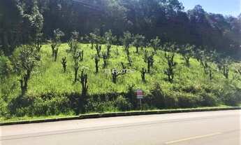 Imagem 3: Terreno em Tamandaré com 86,11m de frente!