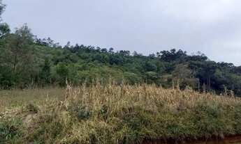 Imagem 2: Área de terra com três hectares na Linha Imperial. Nova Petrópolis RS REF: 965