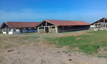 Imagem 4: Fazenda/Sítio/Chácara para venda possui 420 metros quadrados em Parque Verde - Belém - PA