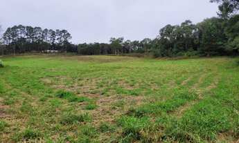 Imagem 2: São Lourenço da Serra - Terreno Padrão - Barrinha