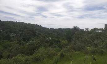 Imagem 5: Terreno muito bom na cidade de Santa Isabel