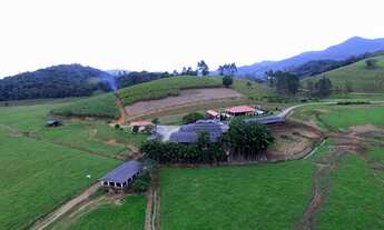 Imagem 6: A melhor fazenda p gado de corte e leite em Luis Alves-SC