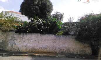 Imagem 3: Terreno à venda, 292 m² por R$ 800.000,00 - Vila Diva (Zona Leste) - São Paulo/SP