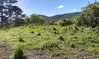 Imagem 6: Grande área no Ribeirão da Ilha em Florianópolis