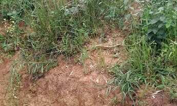 Imagem 2: Area 20 mil Terreno / lote com venda por R$20.000
