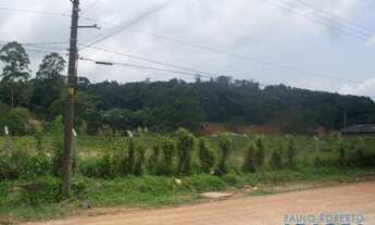 Imagem 4: TERRENO - VILA SANTO ANTÔNIO - SP