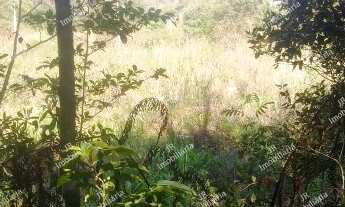 Imagem 4: Excelente Chácara Sem Benfeitorias