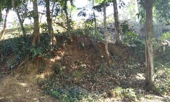 Imagem 6: Terreno em Maria Paula