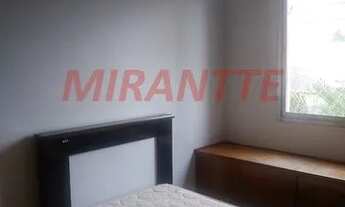 Imagem 6: Lindo apartamento em Santana