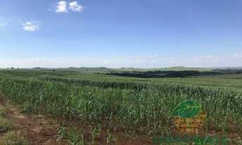 Imagem 4: Chácara à venda 1 Quarto, 774400M², Vila Ipiranga, Londrina - PR