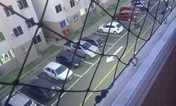 Imagem: Dedetização 24hs melhor preço sem que