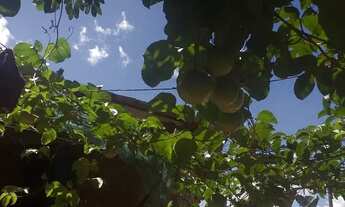 Imagem 3: Vendo esta casa Casa com 2 dormitórios