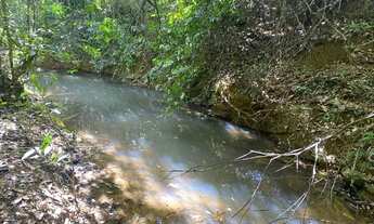 Imagem 2: Terreno 15 ha, casa antiga, córrego nos fundos, plantação e criatório de peixes, Jaboticat