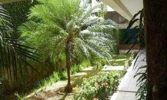 Imagem 4: Apartamento 3 quartos para venda em casa forte