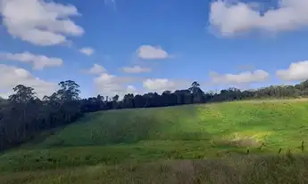 Imagem 7: Terreno dos sonhos em Cotia