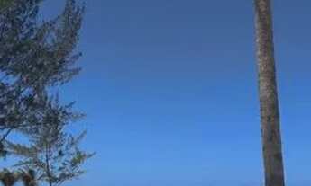 Imagem 5: Casa de praia em Canavieiras