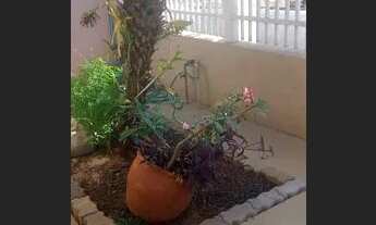 Imagem 7: Vende-se Casa em Cedral 2 quartos 1 suite garagem quintal