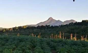 Imagem: Vendo - Duas Chácaras Escrituradas bem
