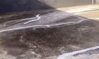 Imagem 7: Aluga-se pacote Casa com 3 dormitórios