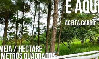 Imagem 6: Fazenda/Sítio/Chácara para venda tem 5000 metros quadrados em Morungava - Gravataí - RS