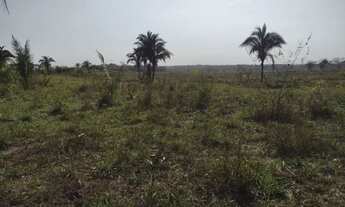 Imagem 4: Fazenda c/ 880he, aprox. 500he abertos/juquirados, 14km de Cuiabá-MT