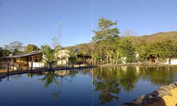 Imagem: Fazenda Minas Gerais Buritis