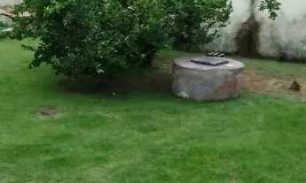 Imagem 7: Vendo Casa 3Qts - Itaboraí