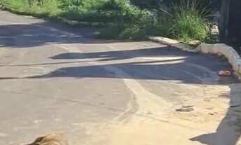 Imagem 7: Casa 1 ou 2 Quartos [morro do pau branco