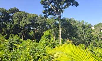 Imagem 6: BAIXEI BLACK Lotes no Balneário, ponta fruta, troco por equipamentos padaria