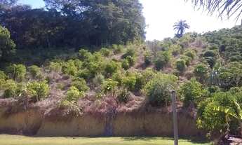 Imagem 6: Fazenda/Sítio/CháVende-se este sítio de 19.800 mil M2 Escriturado Pedra Lisa Município de