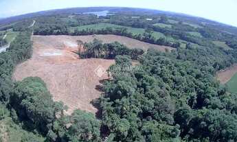 Imagem 6: TERRENO À VENDA NA LAGOA SUJA ARAUCÁRIA