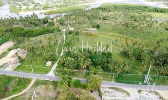 Imagem 5: Terreno Alto do Tatu - Tatuamunha