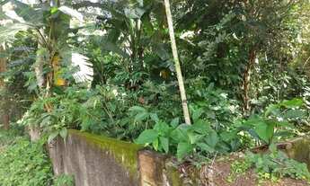 Imagem 7: Terreno, Várzea das Moças, Niterói