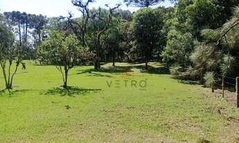 Imagem 3: Terreno à Venda em Canela!