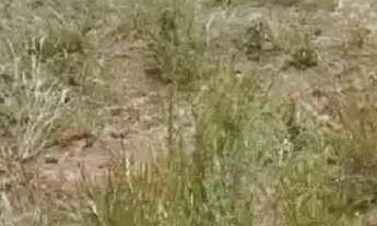 Imagem 3: Preciso vender pra hoje!