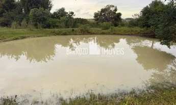 Imagem 3: Barrozo Imóveis - Propriedade a venda com 19.3 ha (193.000 m²) PLANA com nascente e pasto