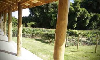 Imagem 3: Lindo Sitio Desterro de Entre Rios 18 hectares 180 mil metros muito verde oportunidade