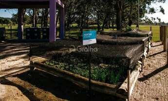Imagem 3: Terreno para Venda em Florianópolis, Canasvieiras