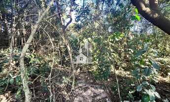 Imagem 4: Lote plano com vista lateral- Jardim Casa Branca