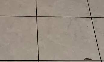 Imagem 4: Imóvel para aluguel com 1 quarto em Gradim - São Gonçalo - RJ