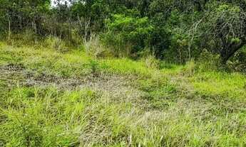 Imagem 6: Terrenos para casa de campo no interior paulista SP