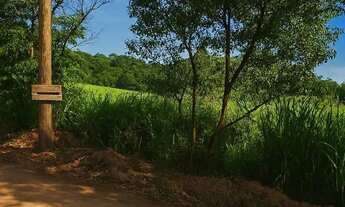 Imagem 3: Lote praia de guarapari, R$ 10 mil de entrada e parcelas R$ 1.000 mês, aceito propostas