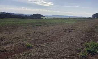 Imagem 4: Fazenda Anápolis 20 alqueires