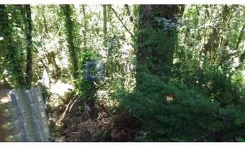 Imagem 7: Terreno Comercial à Venda em Campos do Jordão (Jaguaribe) 1.063 m²