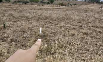 Imagem 2: Lotes 17X40 na beira do Rio Paraguaçu em Iaçu-Ba