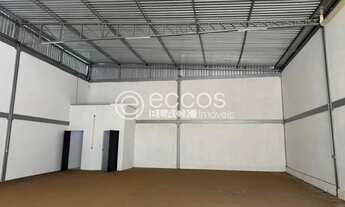 Imagem 3: Galpão para aluguel, 3 vagas, Shopping Park - Uberlândia/MG