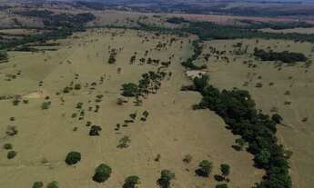 Imagem 2: Fazenda 23, 5 alq. Versátil à Venda em Corumbá de Goiás