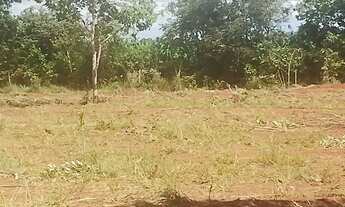 Imagem 7: Fazendinhas 20.000m2 Planas Financiadas, às Margens da Rodovia 040 Paraopeba MG