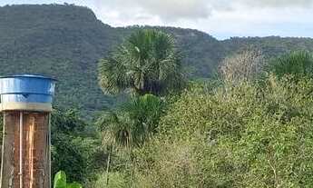 Imagem 4: Vende se chácara no são João 1